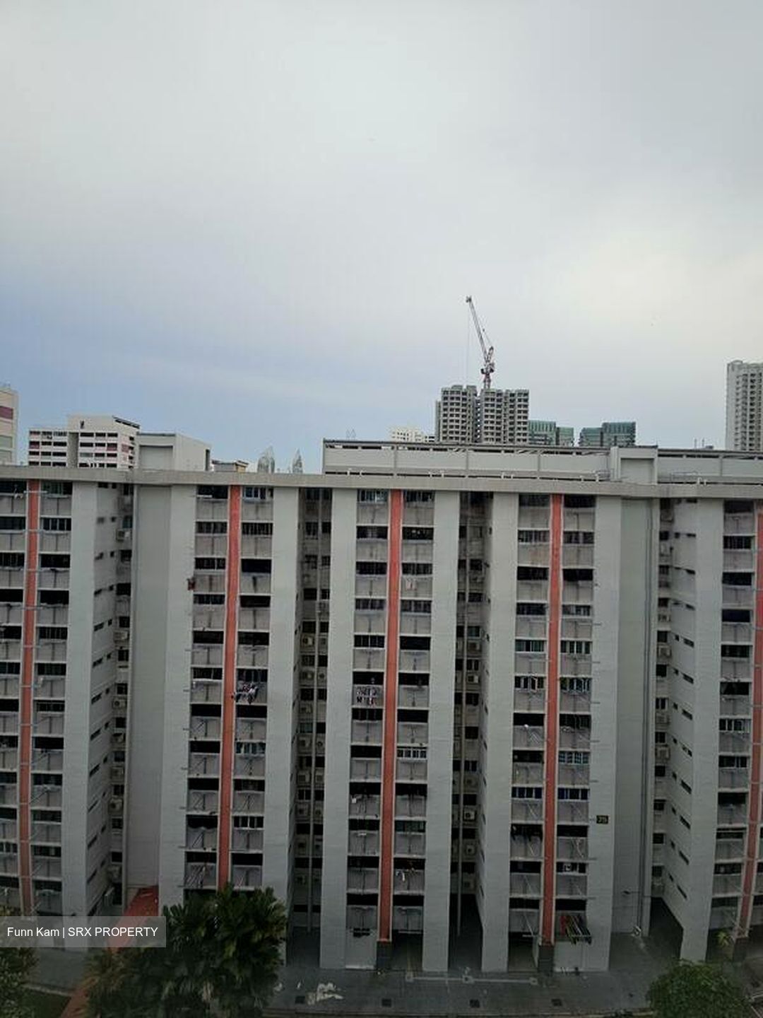Blk 74 Telok Blangah Heights (Bukit Merah), HDB 5 Rooms #463136511